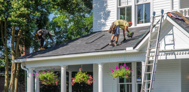 Best Storm Damage Roof Repair  in Allardt, TN